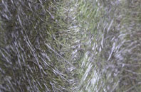 Normanton Le Heath fibreglass roof work